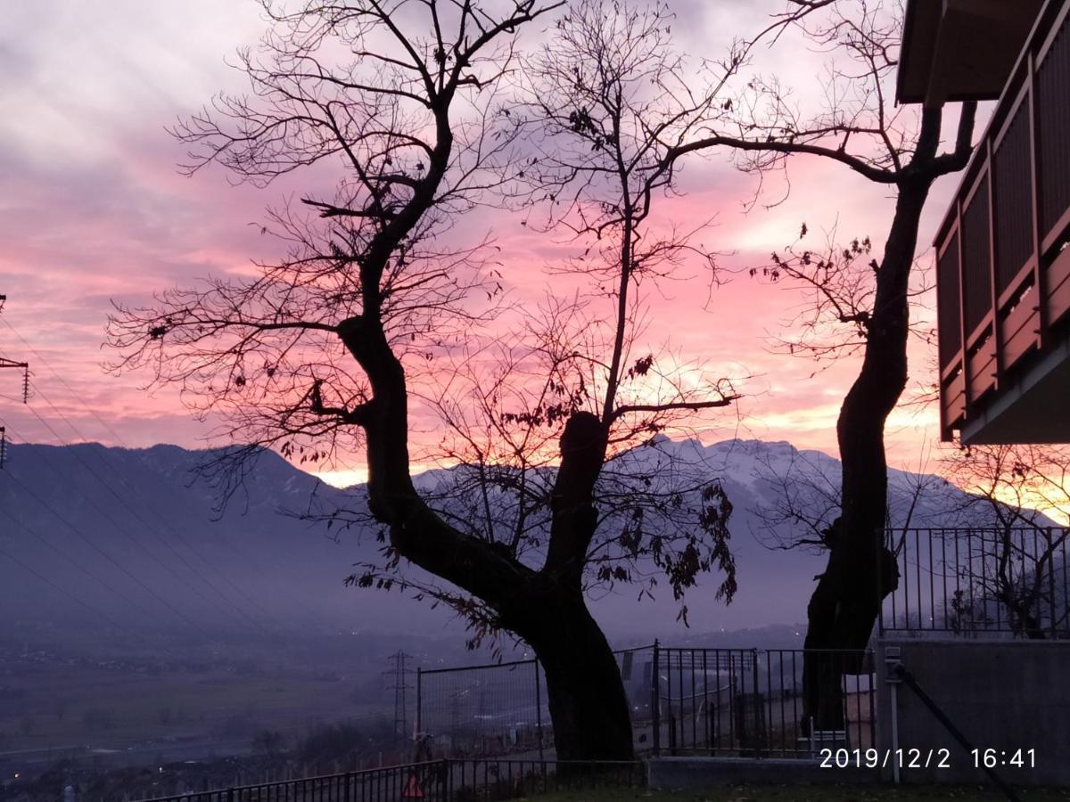 Il Riccio Del Castagno Daire Novaledo Dış mekan fotoğraf