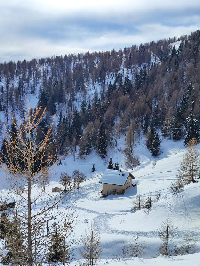 Il Riccio Del Castagno Daire Novaledo Dış mekan fotoğraf