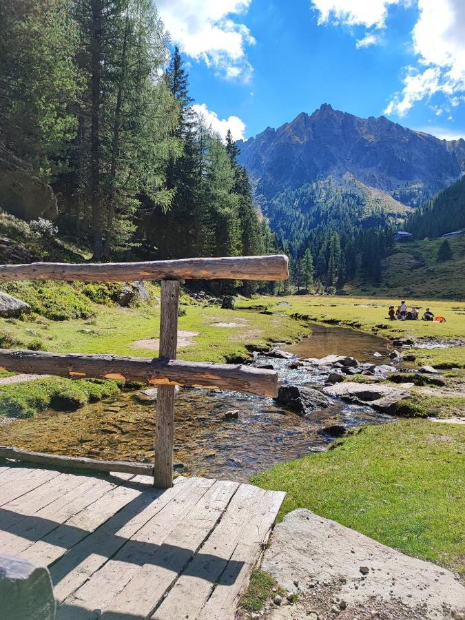 Il Riccio Del Castagno Daire Novaledo Dış mekan fotoğraf