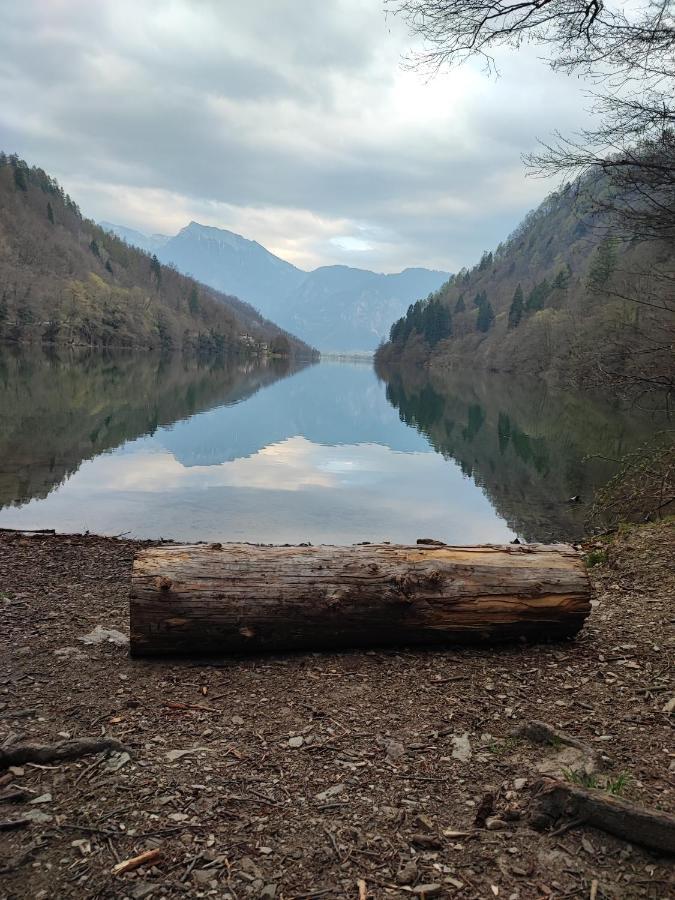 Il Riccio Del Castagno Daire Novaledo Dış mekan fotoğraf