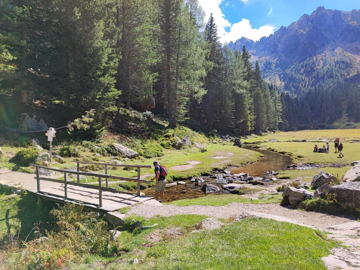 Il Riccio Del Castagno Daire Novaledo Dış mekan fotoğraf